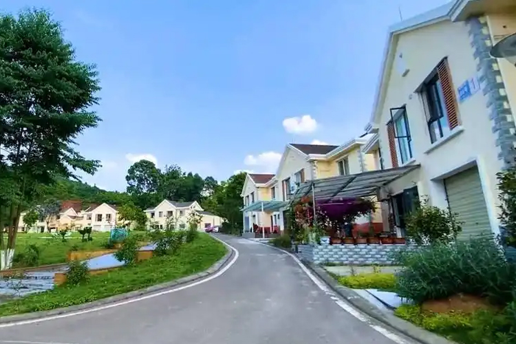 南新村